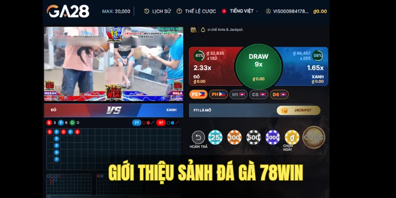 Sảnh cược đá gà 78WIN đặc sắc